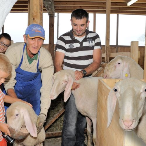 Children’s holidays at the farm in South Tyrol