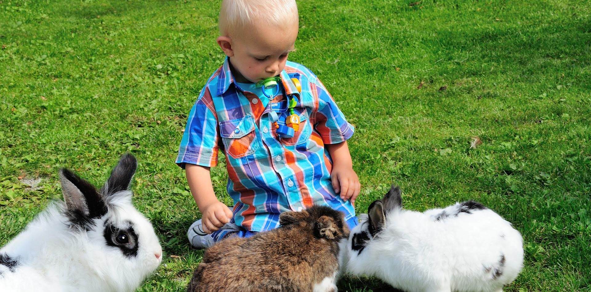 kinderferien in suedtirol im eisacktal 4