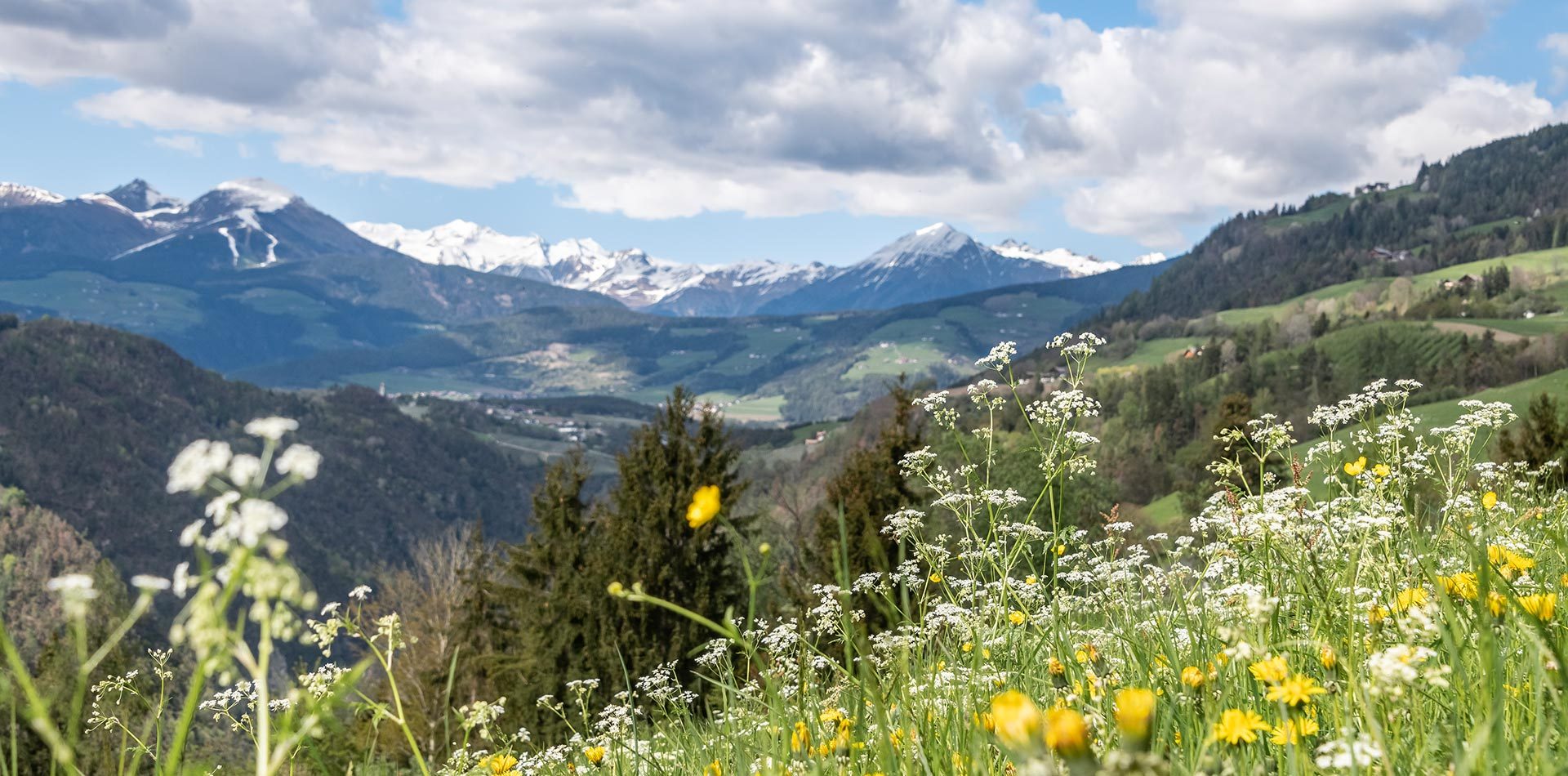 traumchalets in suedtirol in brixen 10