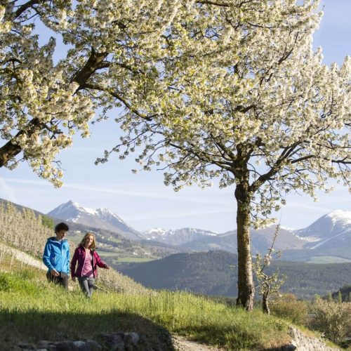 Vacanza a brixen sulla Plose in Alto Adige
